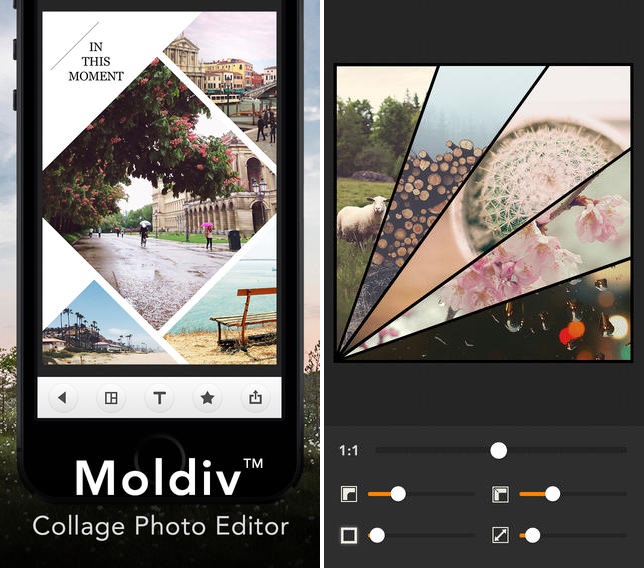 moldiv photo editor