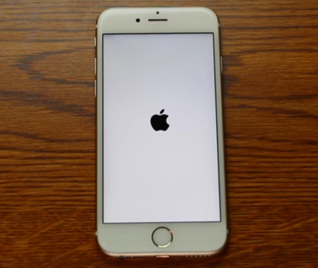 Bricked iPhone