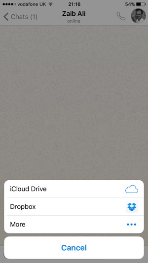 WhatsApp PDF Share iOS 2