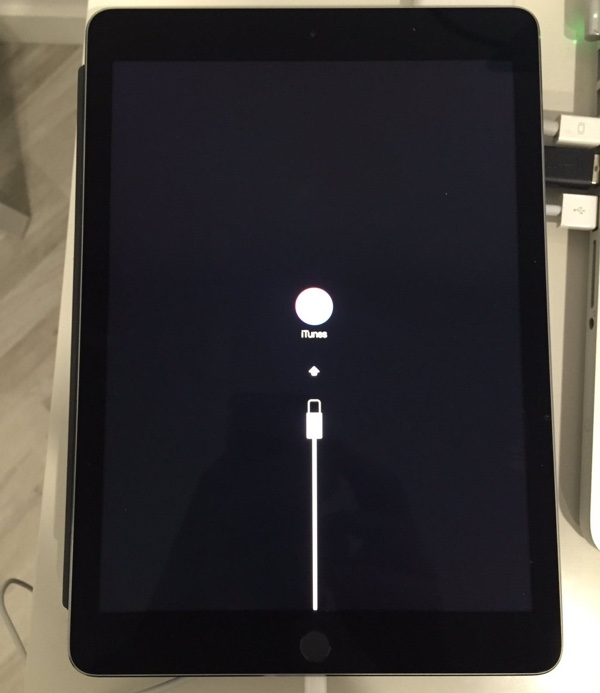 iPad Pro bricked