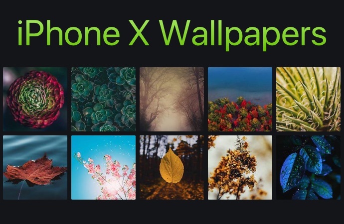 12 Beautiful iPhone 13 Wallpapers Featuring Leaves And Plants (Ep. 5 ...