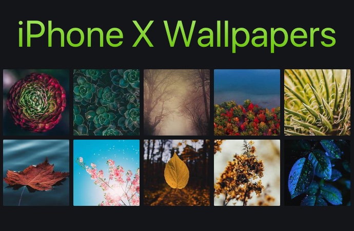Beautiful iPhone 13 Wallpapers