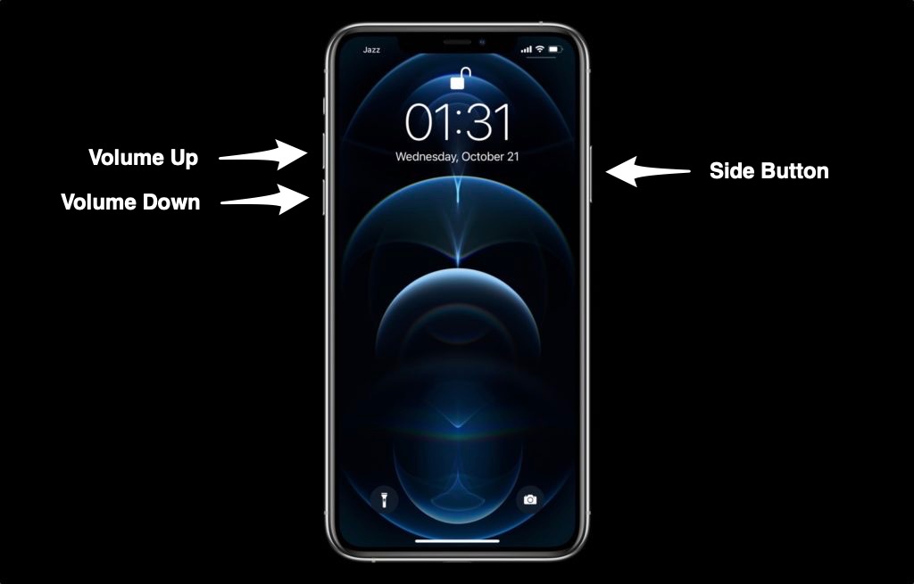 iPhone 12/12 Pro: How to Set Side Button Press and Hold to Open  Siri/Classic Voice Control or Off 