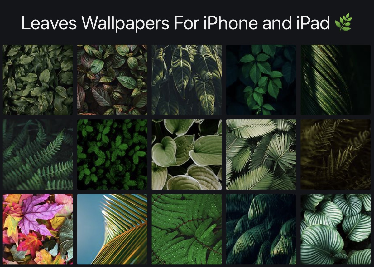 Best Leaves Wallpapers for iPhone and iPad - iOS Hacker